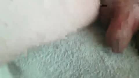 jonasbkk online show from 01.16.26