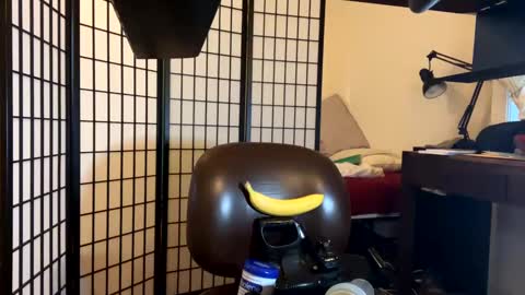 jondoe3657 online show from 01.23.25