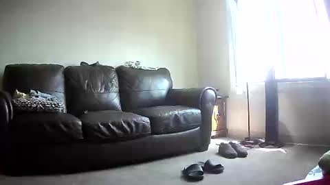 John online show from 06.08.26