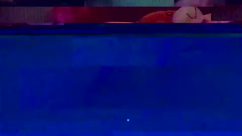 jooshi1981 online show from 02.12.26