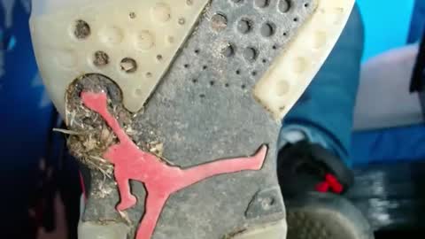 jordan33blake online show from 02.13.25