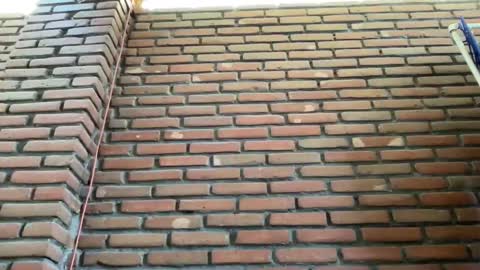 JorgeMAXX online show from 02.09.25