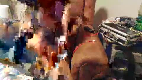 Snapshot of josefturner1 chatting on 01.22.25 Josef online show from 01.22.25