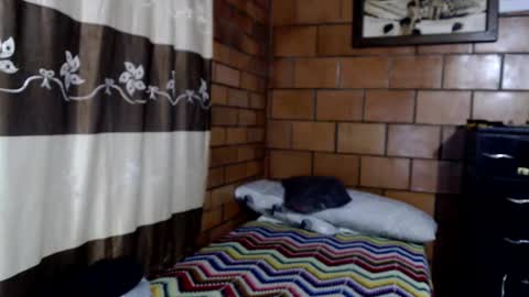 Snapshot of joseph_fit chatting on 10.22.25 joseph online show from 10.22.25