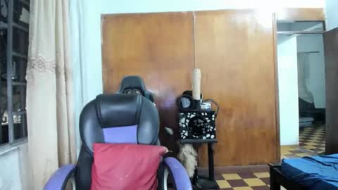 MR OAK online show from 10.28.25