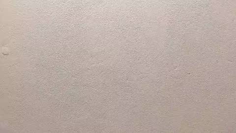 joseph palacios online show from 09.13.25