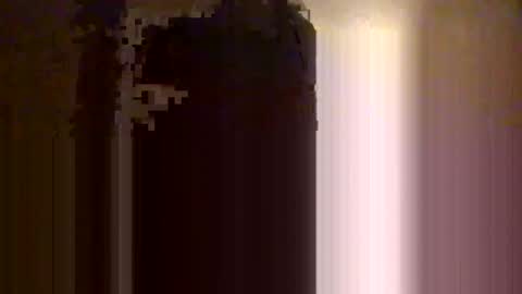 Snapshot of josephsfus chatting on 02.02.25 Josephsfus online show from 02.02.25
