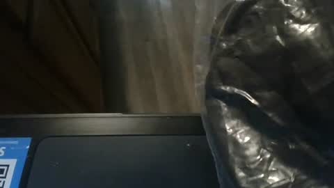 Snapshot of josephung1 chatting on 01.08.25 sissy josphine online show from 01.08.25