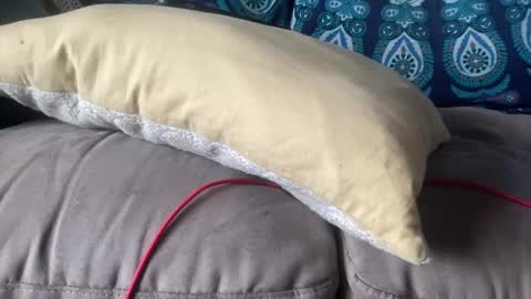 Snapshot of joshperrygoon chatting on 12.19.24 joshperrygoon online show from 12.19.24