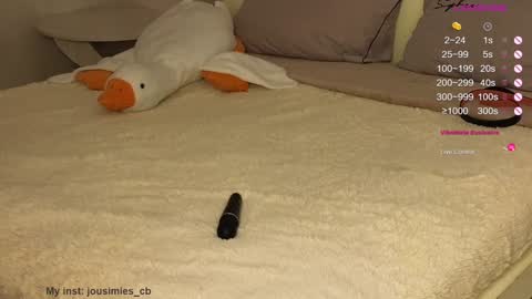 Snapshot of jousimies chatting on 12.08.24 Jane online show from 12.08.24