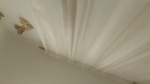 JuanmaSEX online show from 11.14.25