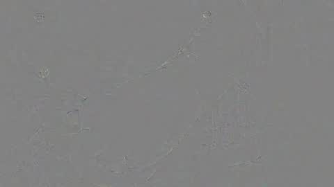 Snapshot of juergen_schoenfeld chatting on 11.24.25 Jrgen Schnfeld online show from 11.24.25
