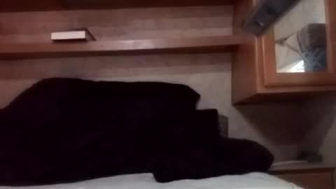 Juish5521 online show from 03.03.25