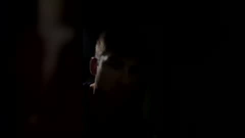 jul061007 online show from 03.15.26