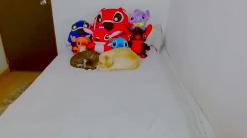  Juliana Torres  online show from 02.25.26