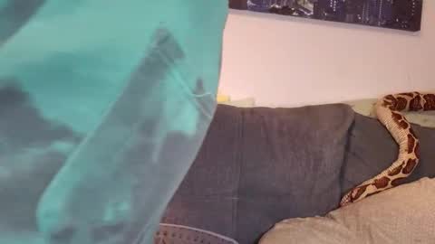 julia_official online show from 11.07.25