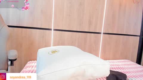 ANDREA  online show from 01.15.25