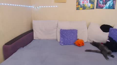 Snapshot of juliasane_ chatting on 09.12.25 Jul online show from 09.12.25