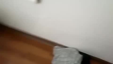 manolito online show from 01.01.25