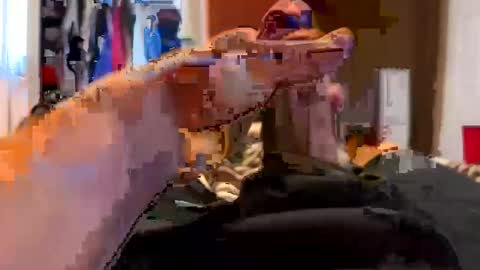 jussumwun online show from 01.01.25