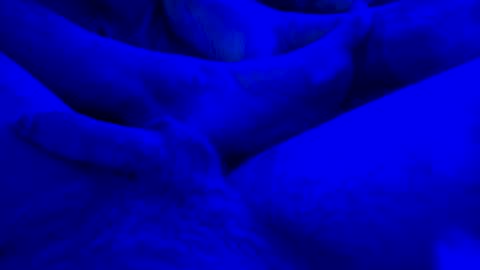 Snapshot of just4funfunfun87 chatting on 01.14.25 Yuri online show from 01.14.25