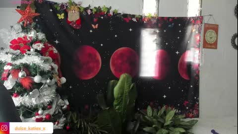 Snapshot of just_katiex chatting on 12.31.24 Sofia online show from 12.31.24