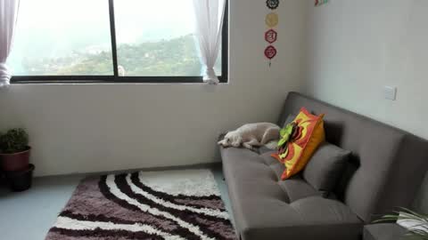 Snapshot of just_katiex chatting on 03.07.25 Sofia online show from 03.07.25