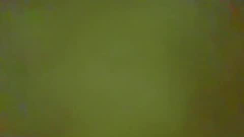 Snapshot of justbuff4 chatting on 02.25.26 McKeefer online show from 02.25.26