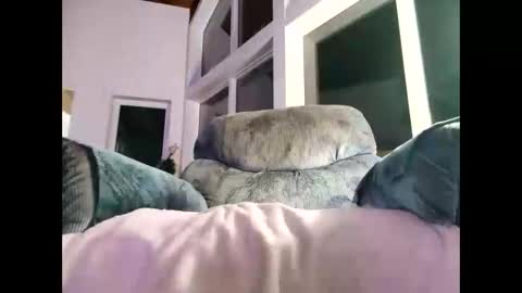 Gil indpendant model exhibitionnist online show from 01.08.25