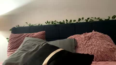 Snapshot of justfuckn chatting on 12.12.24 LOYALTY online show from 12.12.24