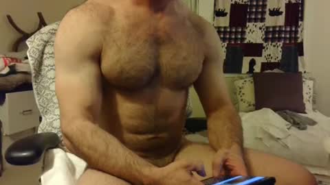Wolf online show from 02.07.25