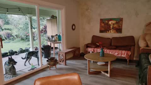 Kailee Smile online show from 01.08.26