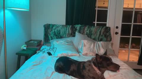 Kailee Smile online show from 02.10.26