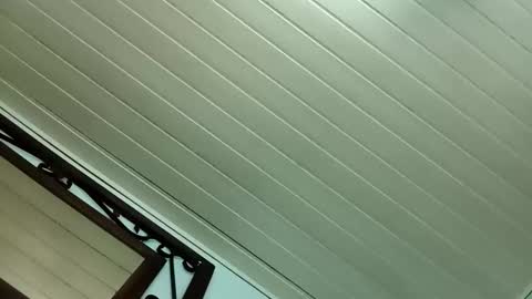 kamlug online show from 02.24.25