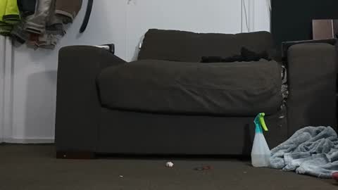 Snapshot of kandydreamss chatting on 01.17.25 Kandy Dreams online show from 01.17.25