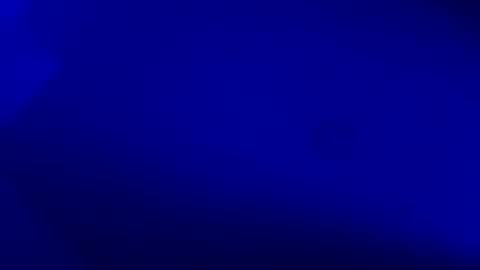 Karla Gonzaless online show from 11.20.25