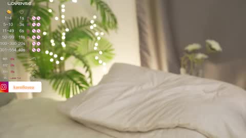 Karol 22 y.o online show from 02.13.25