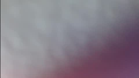 karol online show from 04.07.26