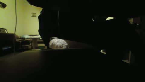 Snapshot of kaskaderns chatting on 10.18.25 Stojko online show from 10.18.25