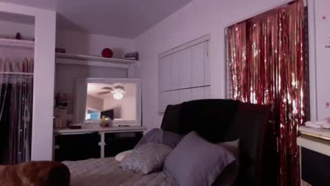 sexykat online show from 10.07.25