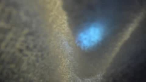 Kate  online show from 04.16.26