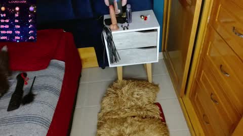 Snapshot of katty_berry_ chatting on 12.02.24 Arianna online show from 12.02.24