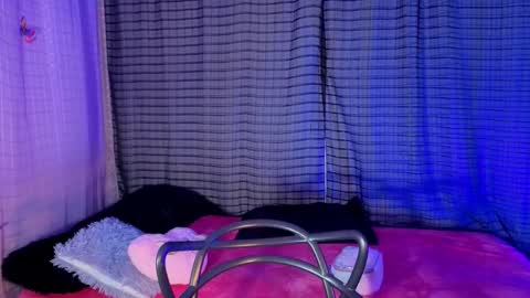 Kaylee online show from 11.19.25