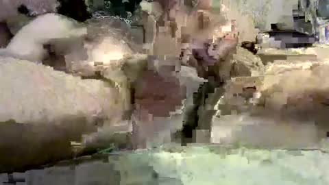 kazzarsouth online show from 03.05.25