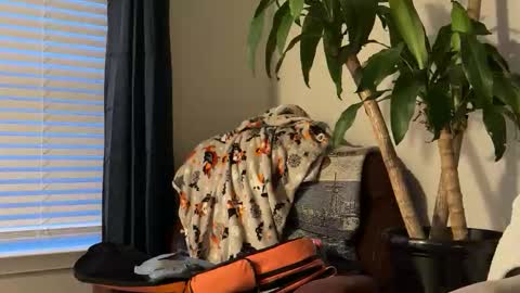 Keaton Keller online show from 10.17.25