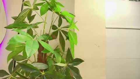 keila online show from 10.01.25