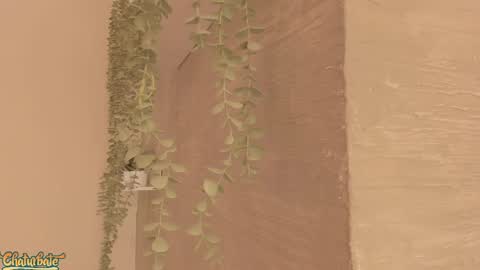 keirahartz online show from 04.16.26