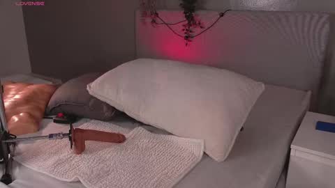   online show from 03.01.26