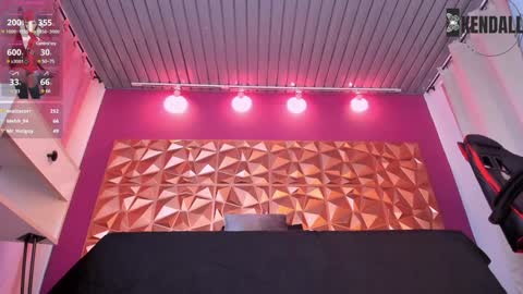 Snapshot of kendall23_ chatting on 01.19.25 Kendall online show from 01.19.25