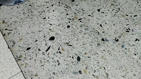 Kendra London online show from 04.10.26